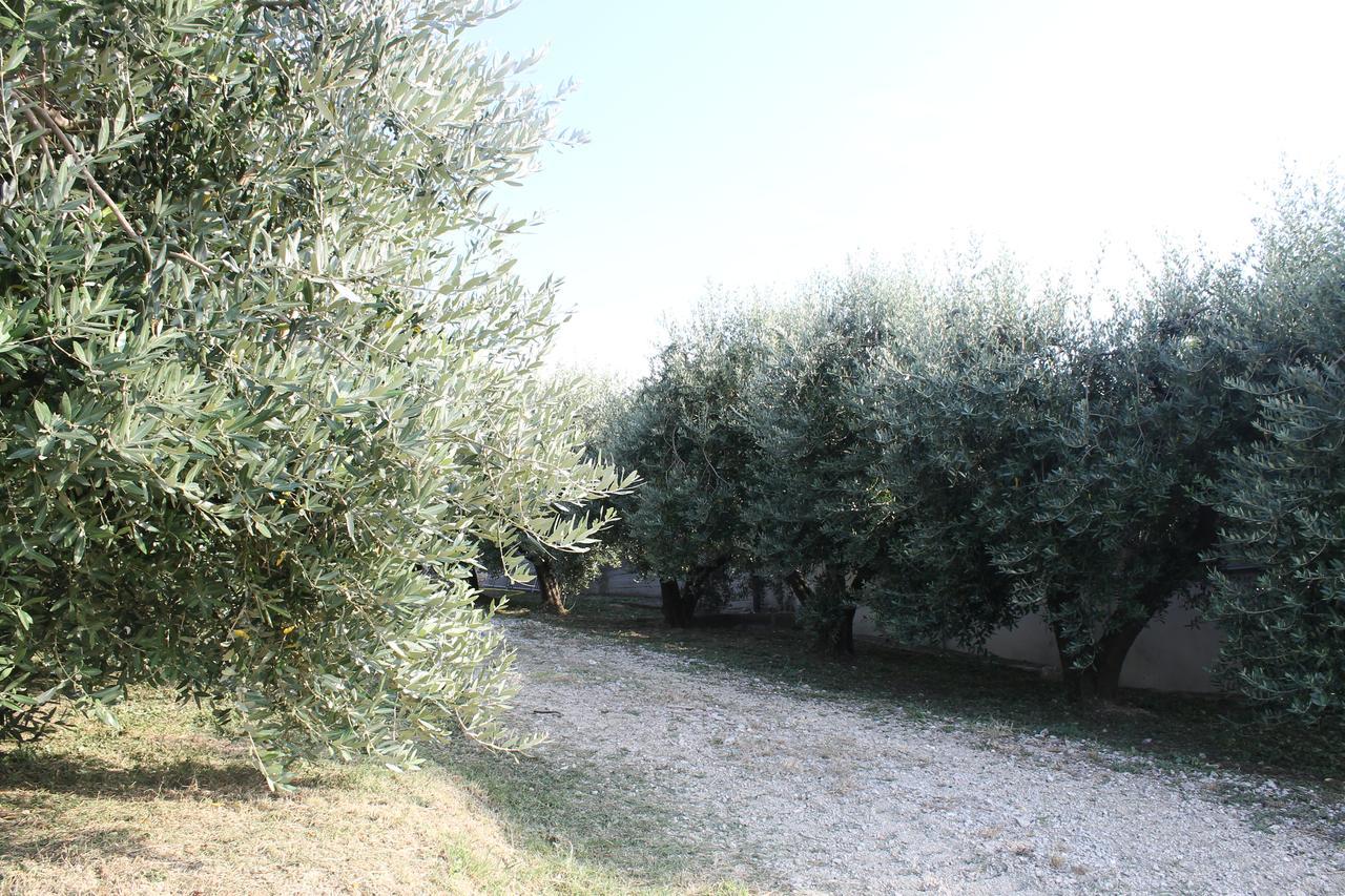 La Viola E Il Sole - Alloggi E Glamping - Fermo Exterior foto
