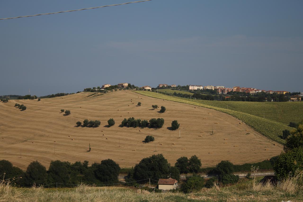 La Viola E Il Sole - Alloggi E Glamping - Fermo Exterior foto
